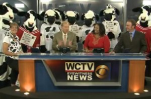 Chick-Fil-A's cows invade WCTV's noon newscast. Mooo.